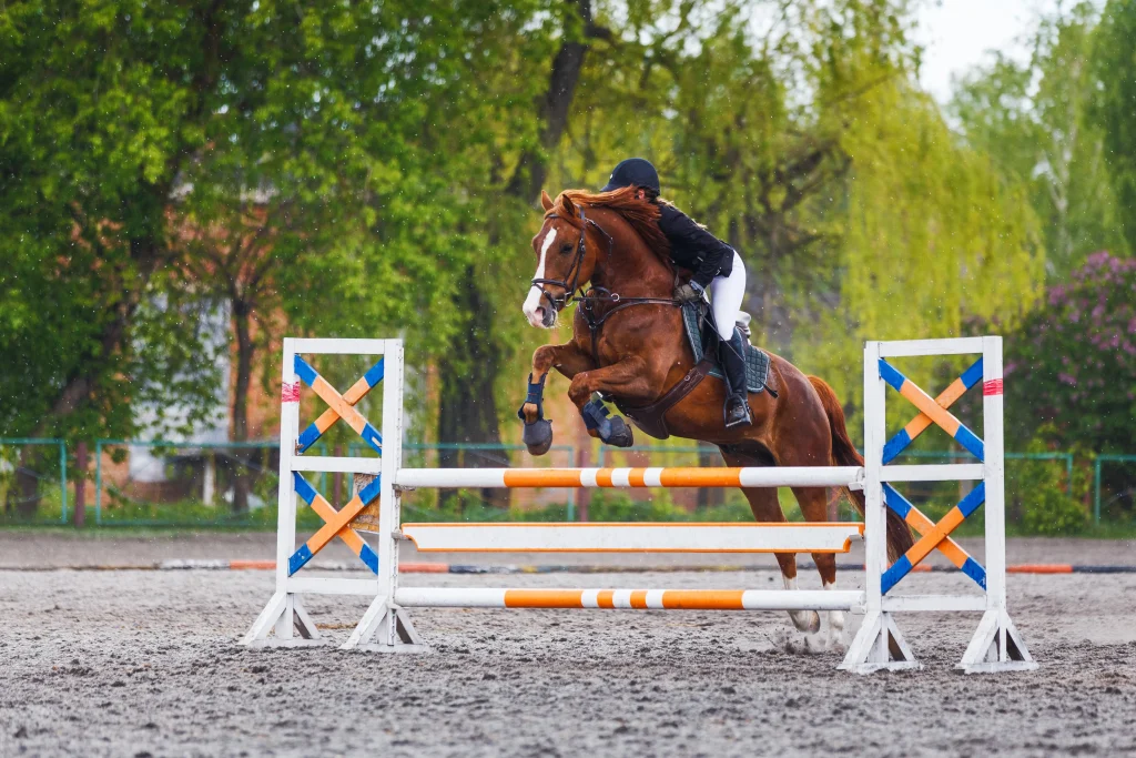 Ein Pferd springt über ein Hinderness auf einem Platz